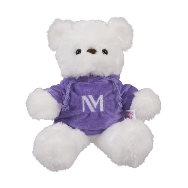 Northwestern Medicine Plush Bear with Hoodie Thumbnail